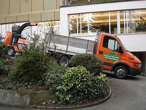 Gartenpflege und -unterhalt, Schnittarbeiten, Rasenpflege, Renovationen und Ausbesserungen, Unterhalt oder Gartenservice als Dauerauftrag